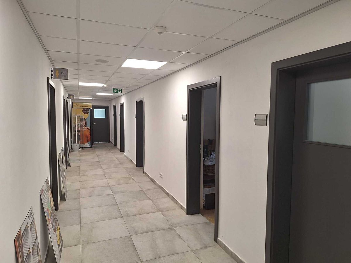 Pronájem komerční nemovitosti 300 m² – fotografie 3