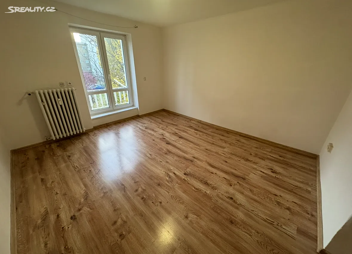 Pronájem bytu 2+1 55 m² – další