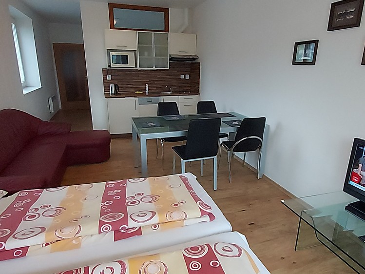Pronájem bytu 1+kk, 42 m² (17 z 30)