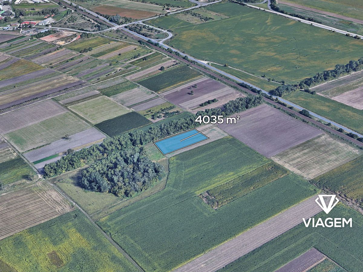 Prodej pole 4035 m², Podivín – fotka 1 z 3