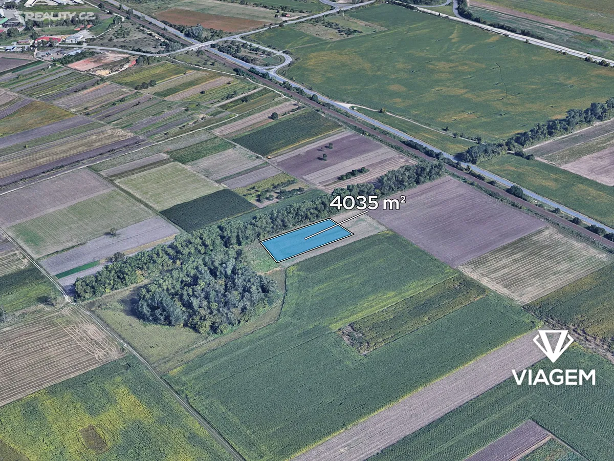Prodej pole 4035 m², Podivín