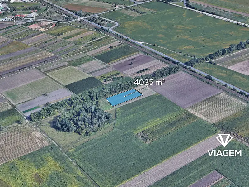 Prodej pole 4035 m², Podivín – náhled fotky 1