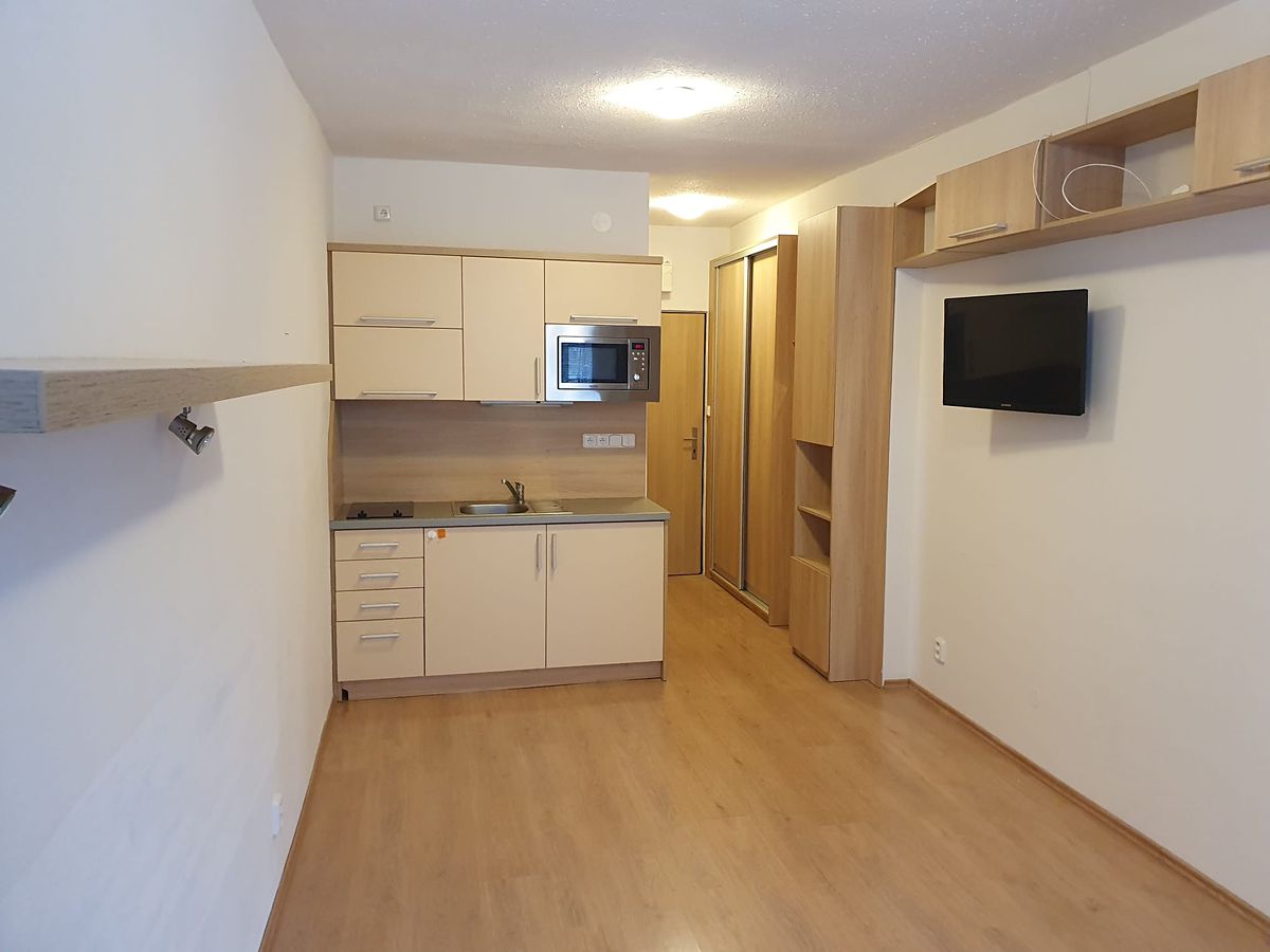 Pronájem bytu 1+kk 20 m² – fotografie 2