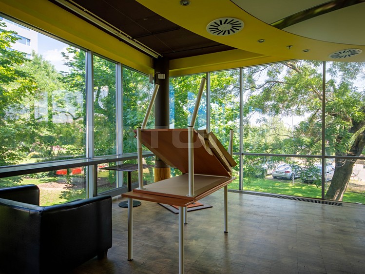 Gewerbefläche zur Miete, 291 m² (6 von 20)