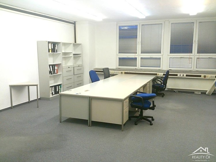 Pronájem komerčního prostoru, 907 m² (8 z 22)