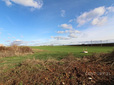Pronájem pozemku, 11 550 m² (3 z 5)