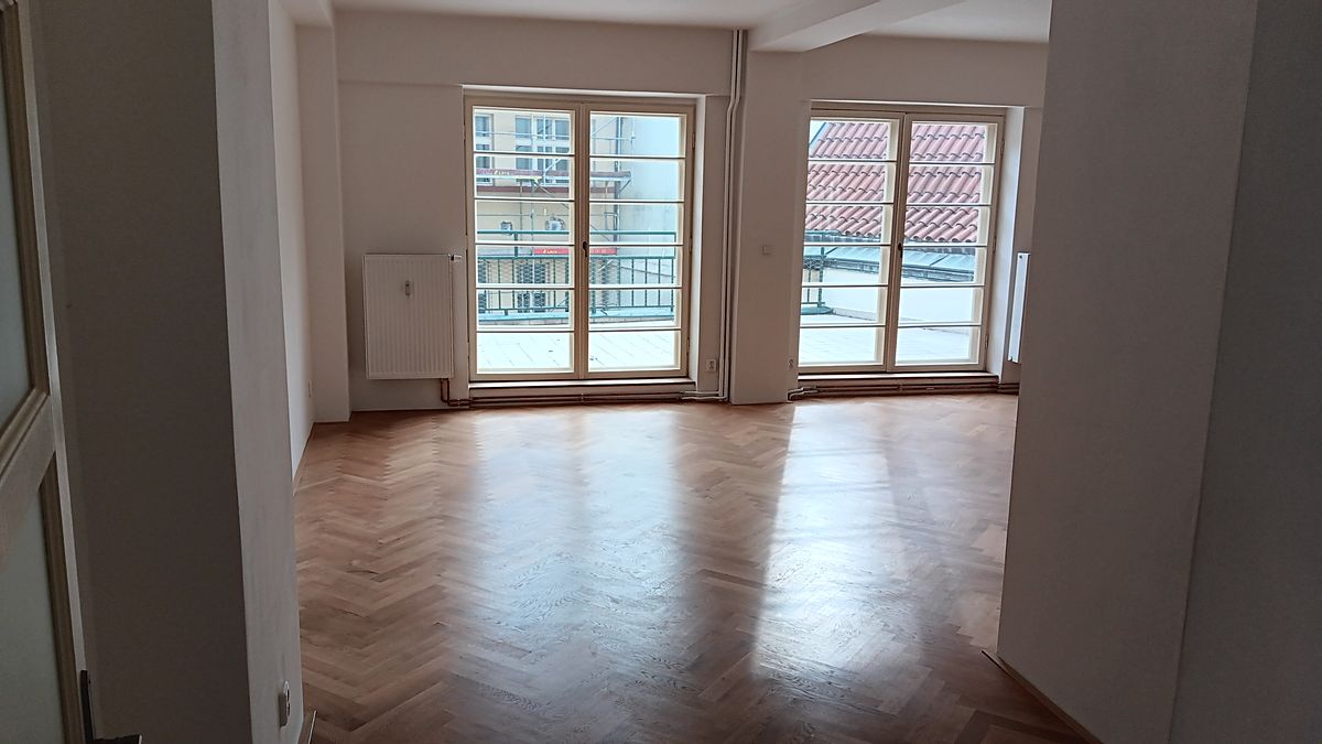 Pronájem bytu 1+kk 114 m² – fotografie 4
