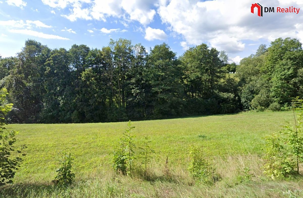 Prodej lesa 1248 m² – fotografie 2