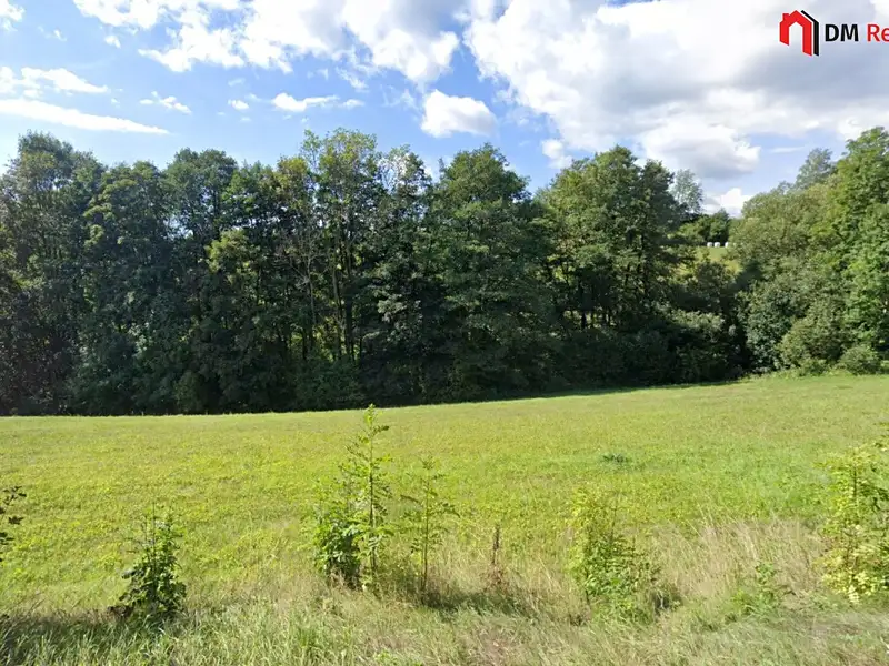 Prodej lesa 1248 m², Zlatá Olešnice – náhled fotky 2