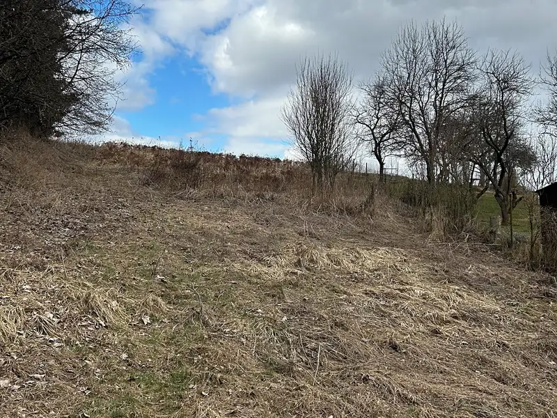 Prodej zahrady 1799 m², Javorník – náhled fotky 3