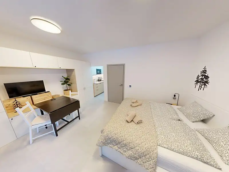Prodej bytu 1+kk 30 m², Janov nad Nisou – náhled fotky 3