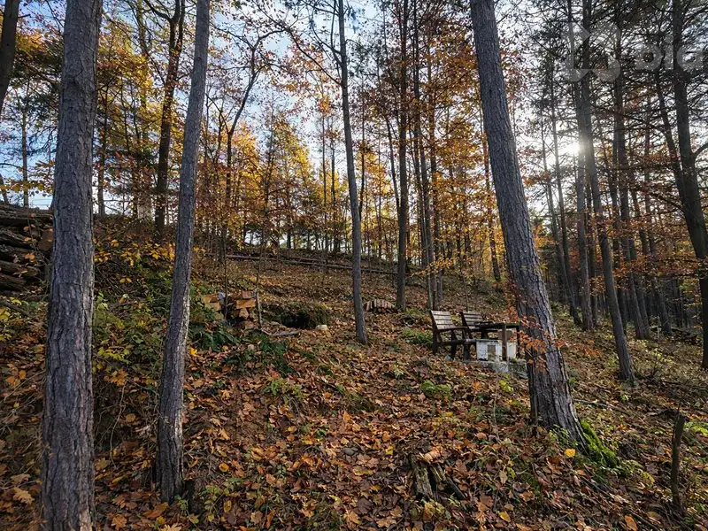 Prodej pozemku 1467 m², Slapy – náhled fotky 3