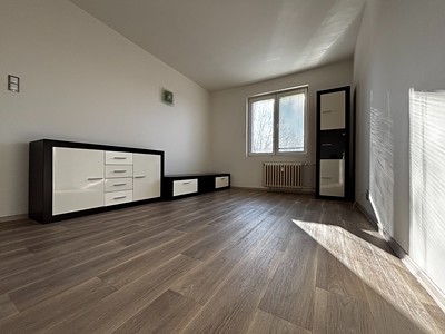 Pronájem bytu 1+1 35 m²