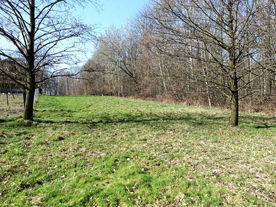 Prodej  louky 6 013 m²