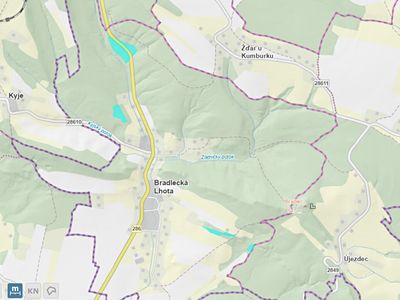 Prodej lesa 36126 m²