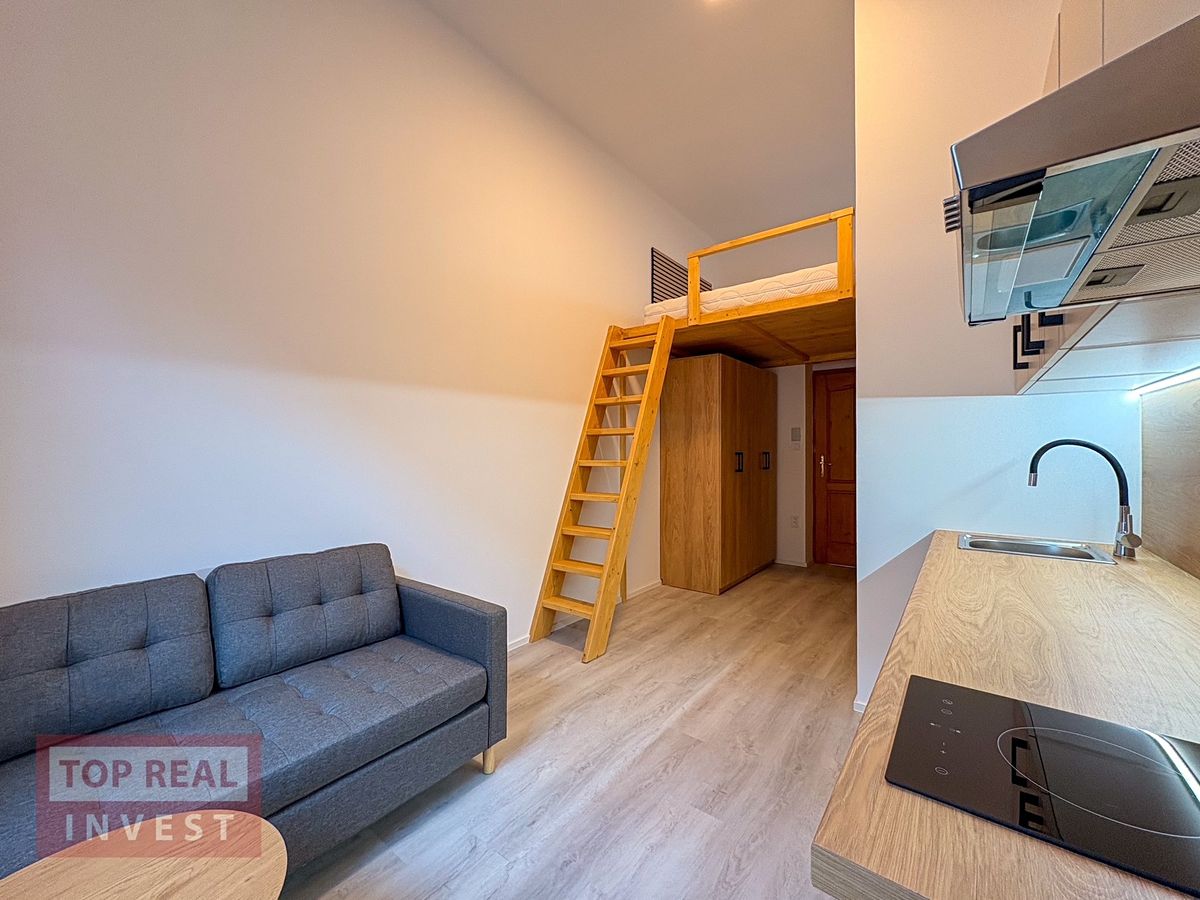 Pronájem bytu 1+kk 15 m² – fotografie 3