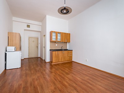 Pronájem bytu 1+kk 25 m² (Jednopodlažní)