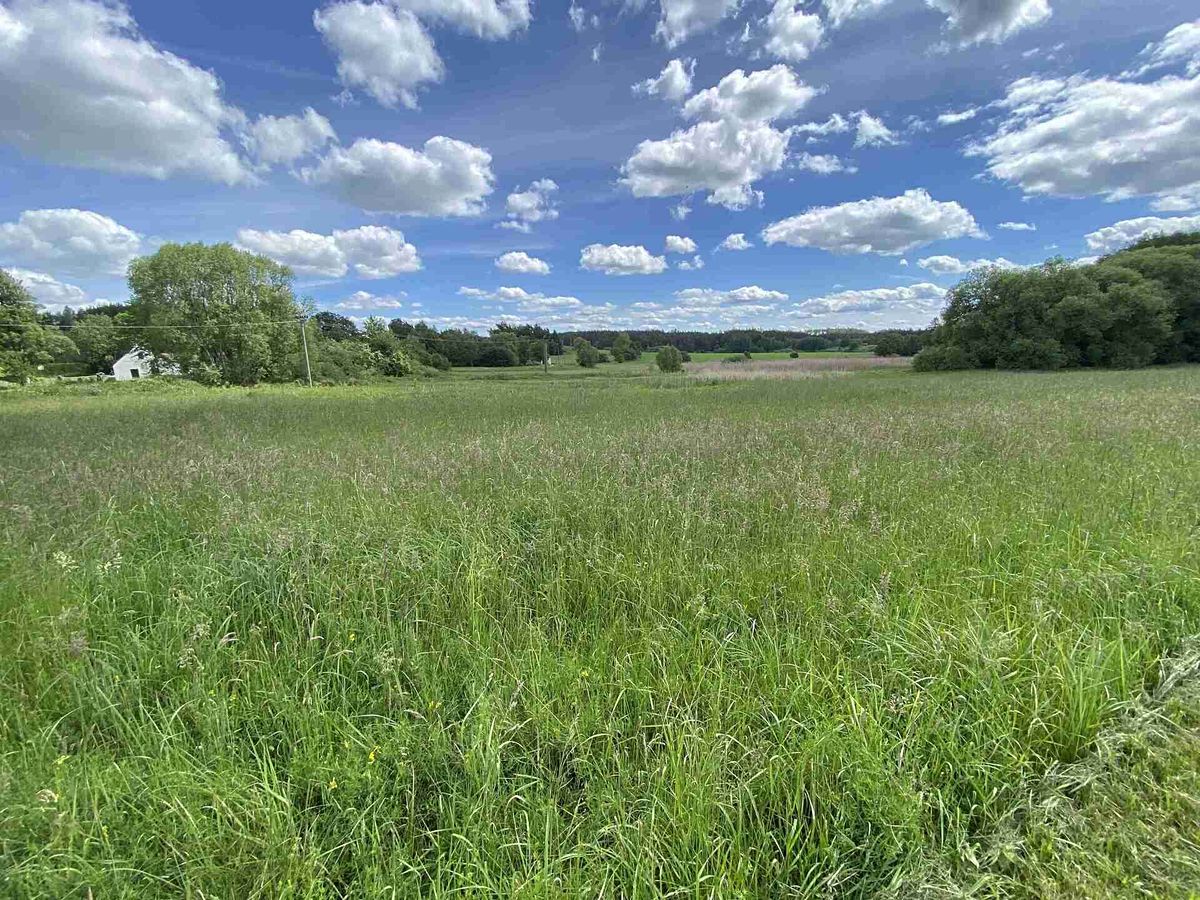 Prodej stavebního pozemku 3058 m² – fotografie 3