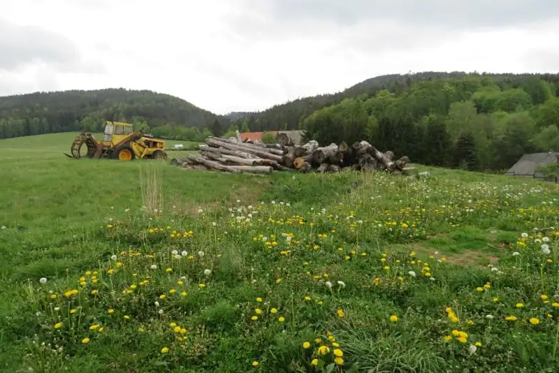 Prodej pozemku 1272 m², Meziměstí – náhled fotky 1