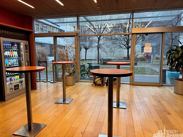 Pronájem komerčního prostoru, 168 m² (8 z 10)