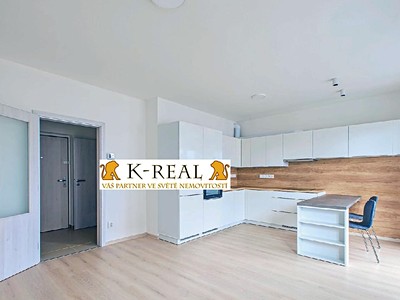 Prodej bytu 1+kk 40 m² (Jednopodlažní)