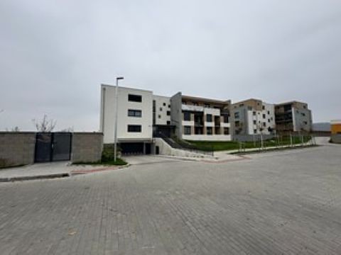 Oddechová