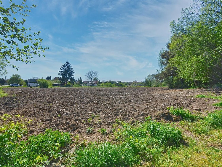 Grundstück zum Kauf, 1.125 m² (9 von 13)