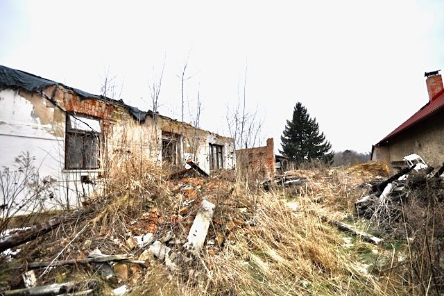 Prodej rodinného domu 75 m², pozemek 786 m² – fotografie 3