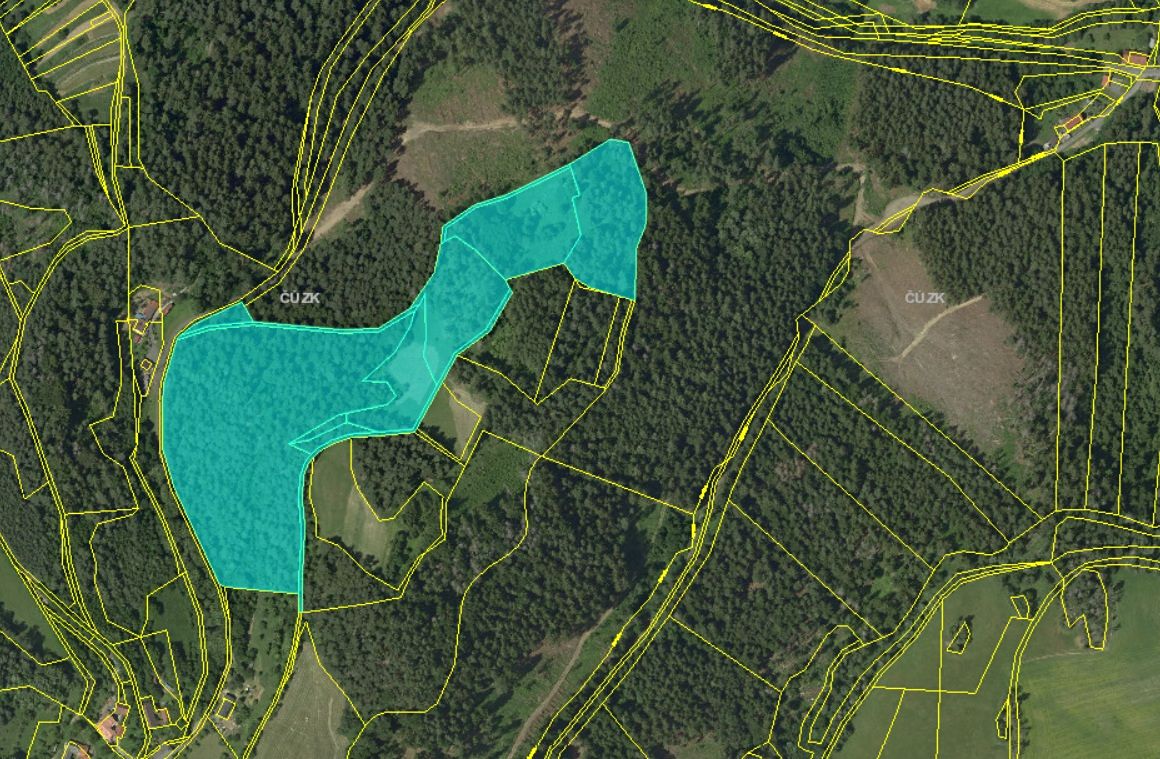 Prodej lesa 47591 m²