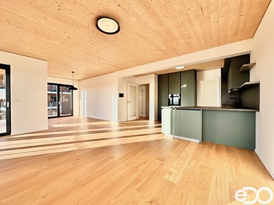 Pronájem bytu 4+kk 110 m²