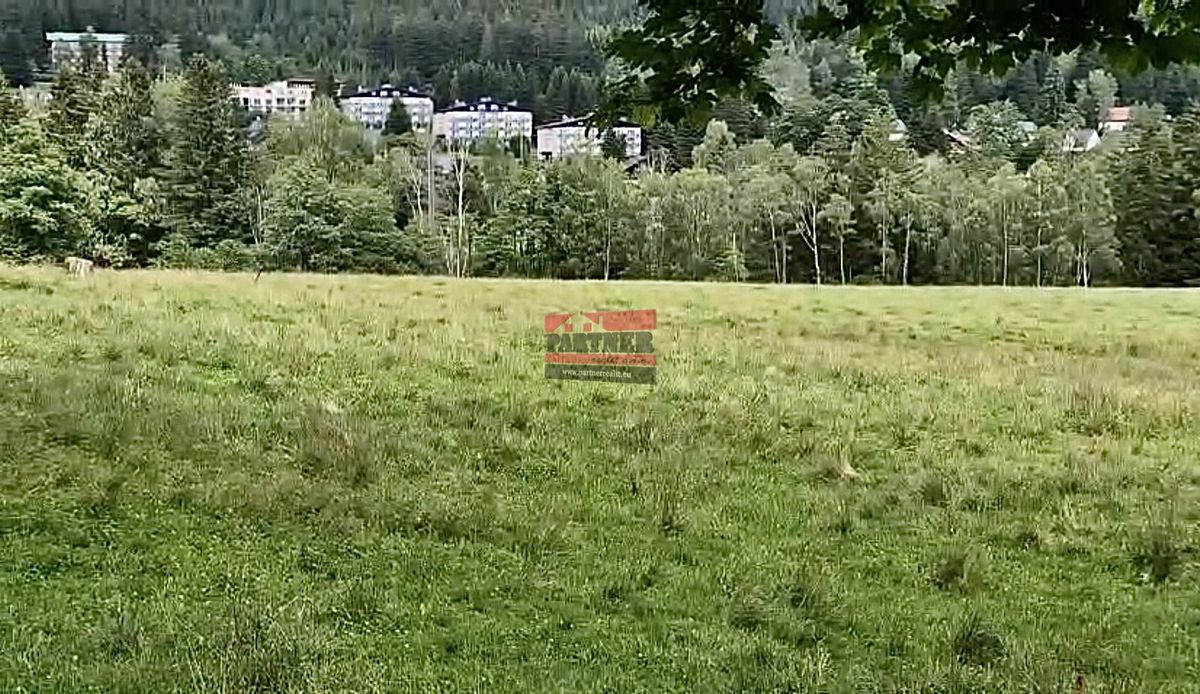 Prodej louky 1110 m² – fotografie 3