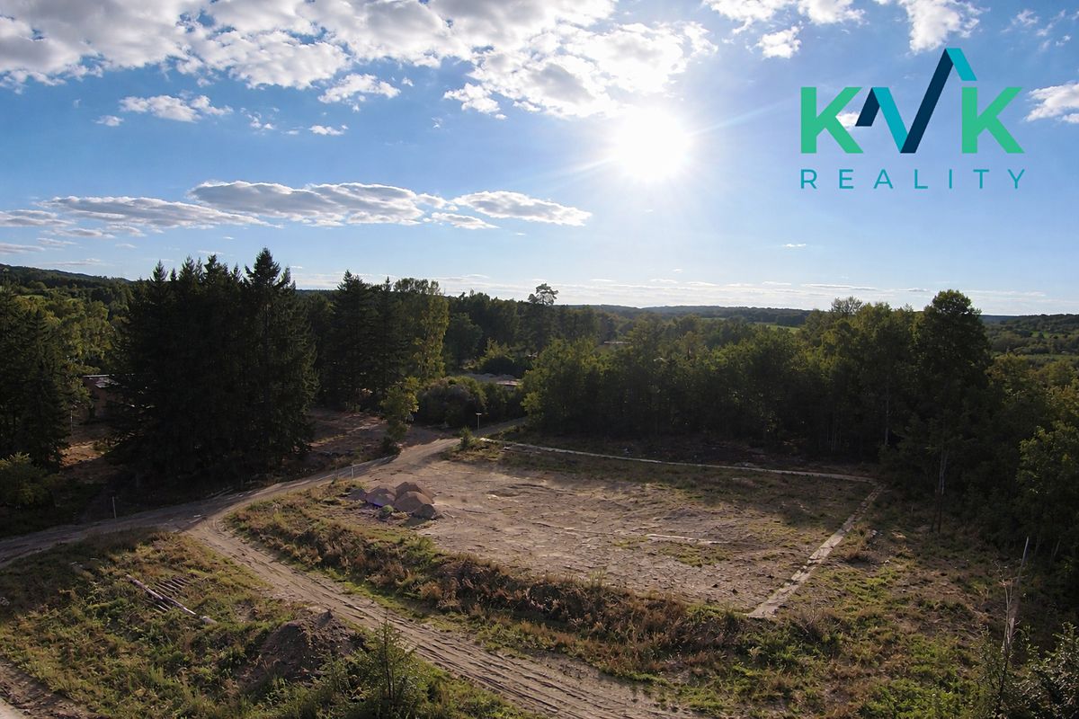 Pronájem komerčního pozemku 5000 m² – fotografie 3