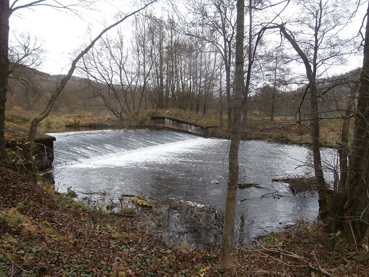 Ostatní