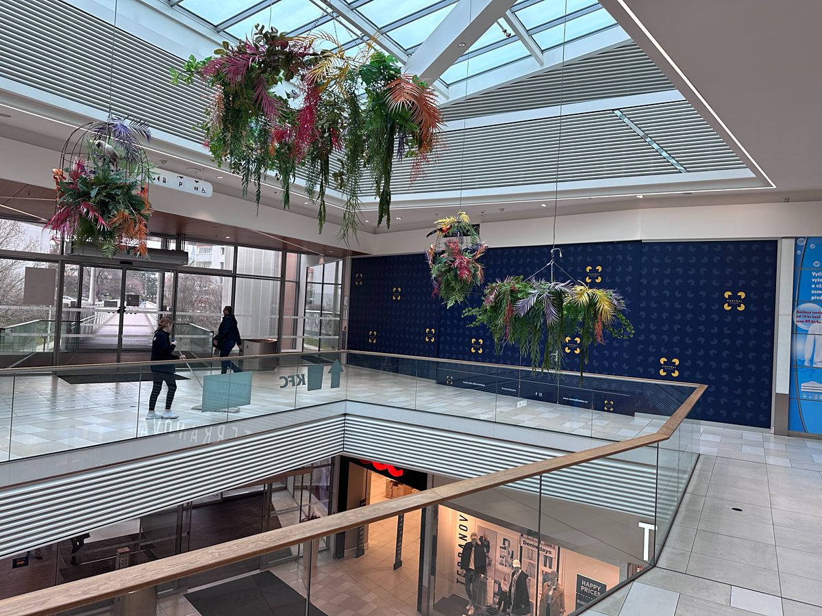 Pronájem obchodního prostoru 527 m² – fotografie 2