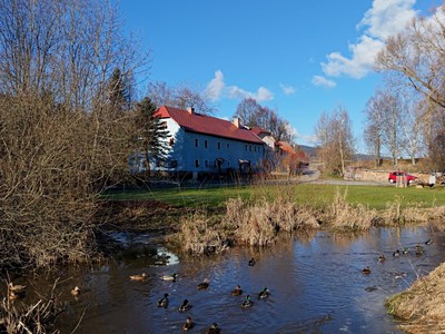 Horní Planá