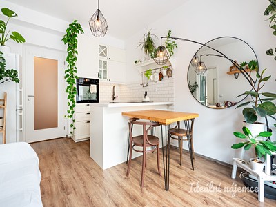 Pronájem bytu 2+kk 48 m²