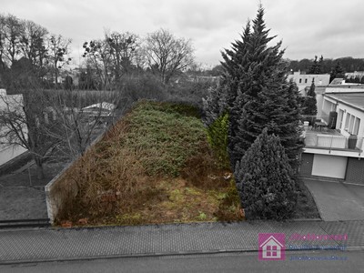 Pronájem  stavebního pozemku 290 m²