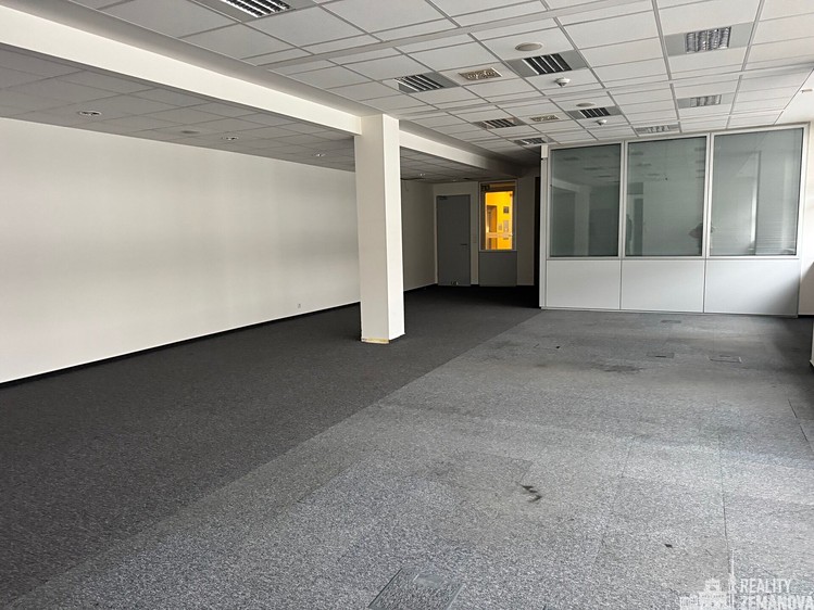 Pronájem komerčního prostoru, 168 m² (3 z 10)