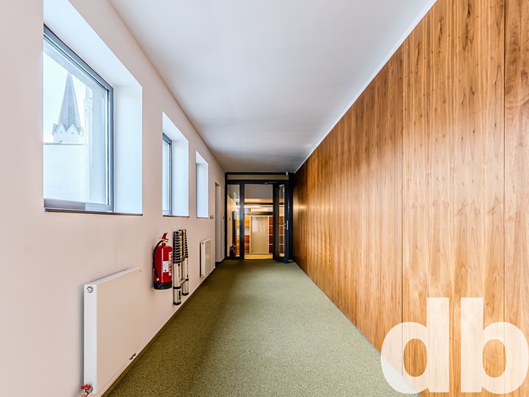 Комерційне приміщення в оренду, 260 м² (5 з 49)