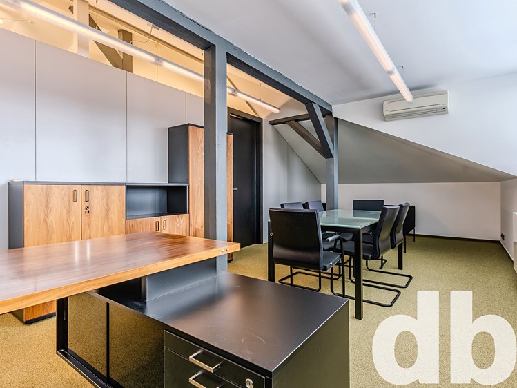 Комерційне приміщення в оренду, 260 м² (13 з 49)