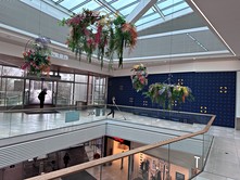 Pronájem obchodního prostoru 527 m²