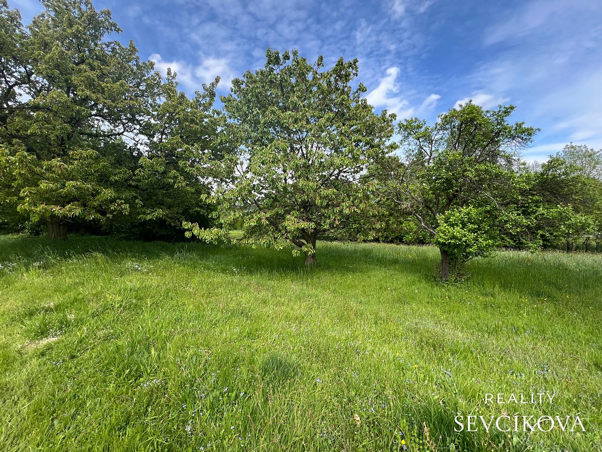 Prodej pozemku 2371 m² – fotografie 2