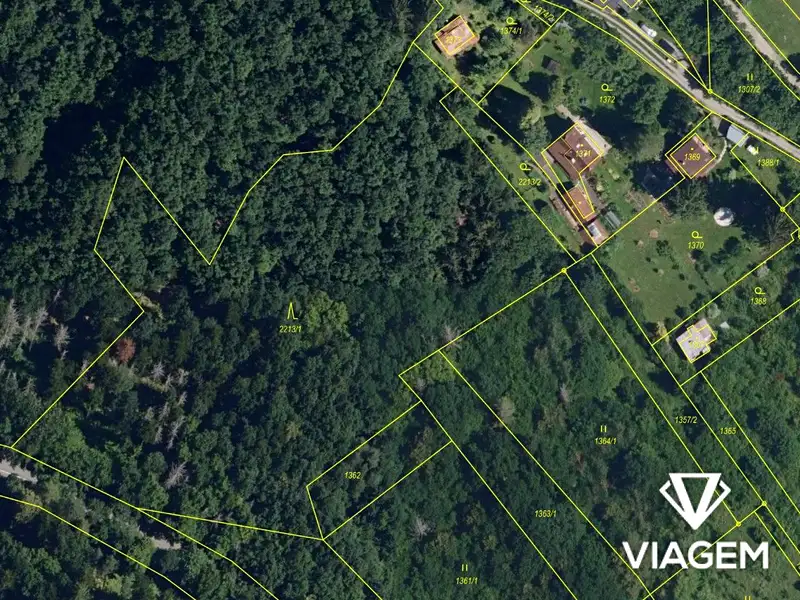 Prodej lesa 8999 m², Veverská Bítýška – náhled fotky 2