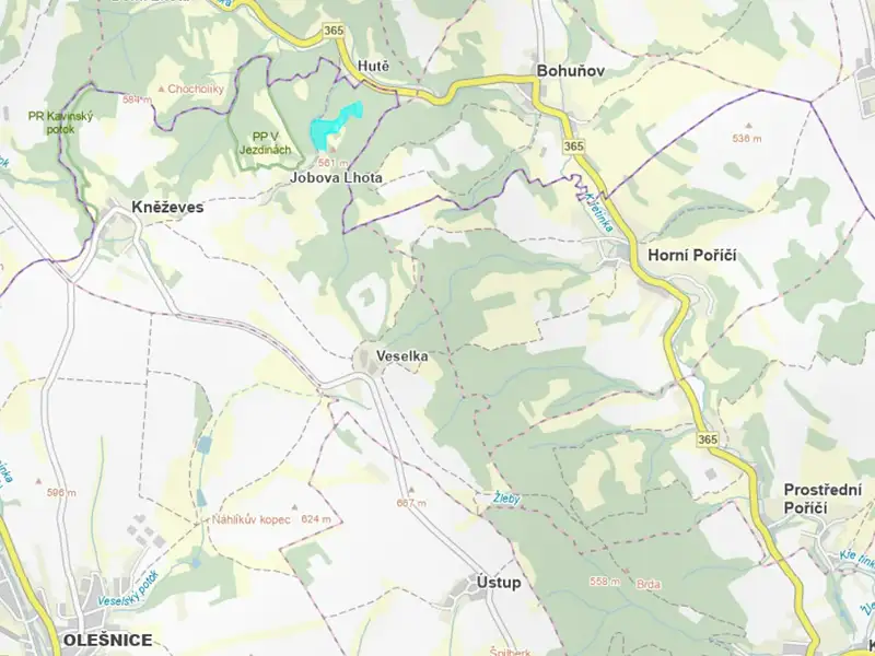 Prodej lesa 47591 m², Kněževes – náhled fotky 2