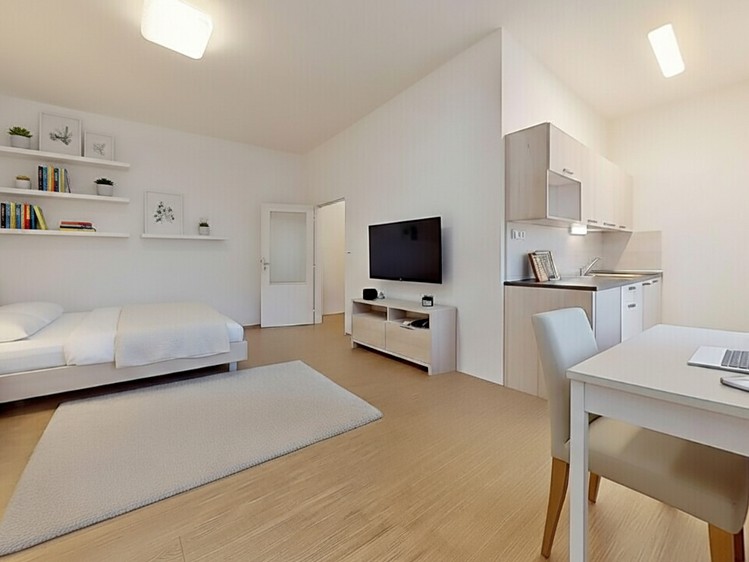 Pronájem bytu 1+kk, 30 m² (2 z 9)