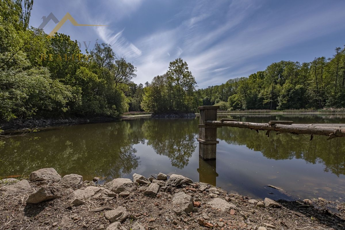 Prodej památky 2200 m², pozemek 19200 m² – fotografie 5