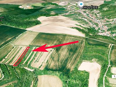 Prodej sadu, vinice 2568 m²