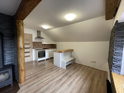 Prodej bytu 1+kk 48 m² (Jednopodlažní)