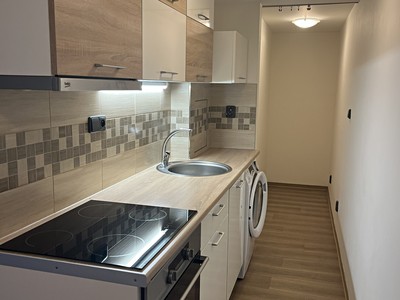 Pronájem bytu 1+kk 30 m² (Podkrovní)