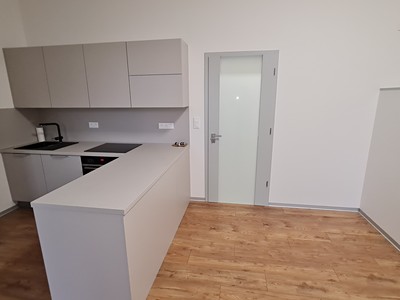 Pronájem bytu 1+kk 41 m²